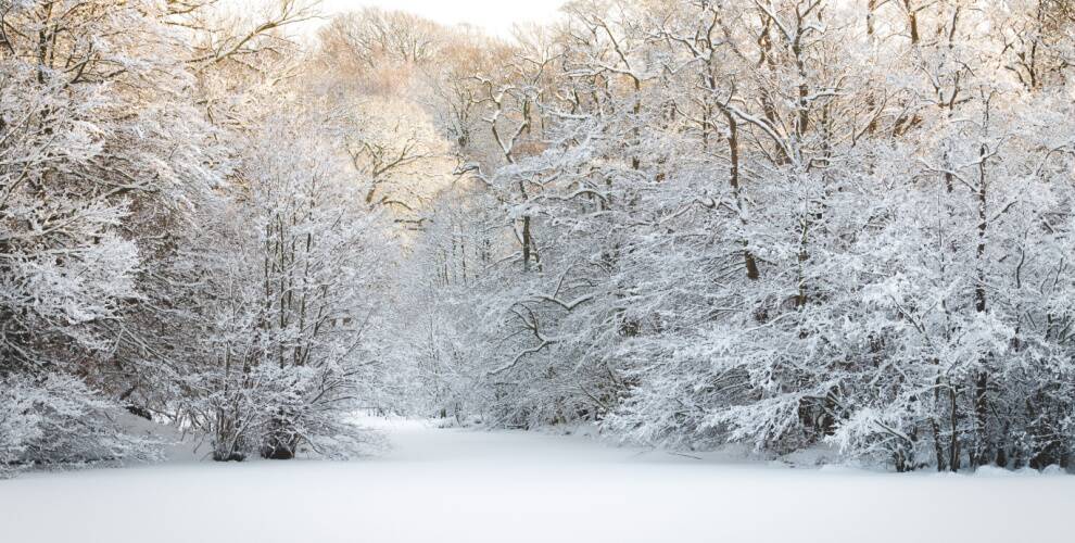 Winter in Dänemark