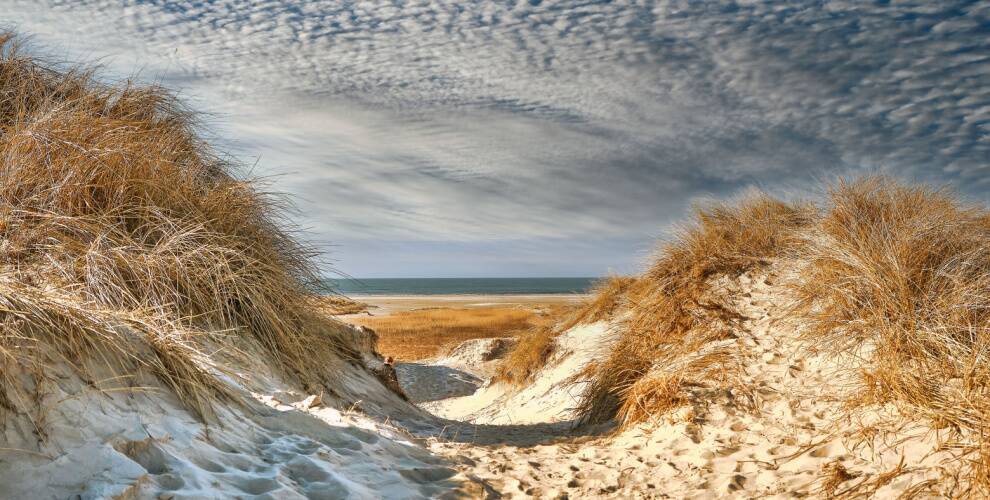 Dünen bei Fanö, Dänemark